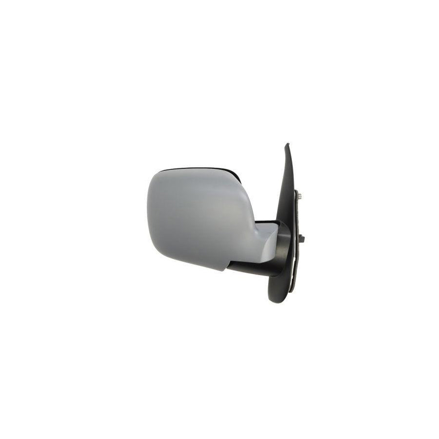 Blic 5402-04-1121546P Wing Mirror for Renault Kangoo