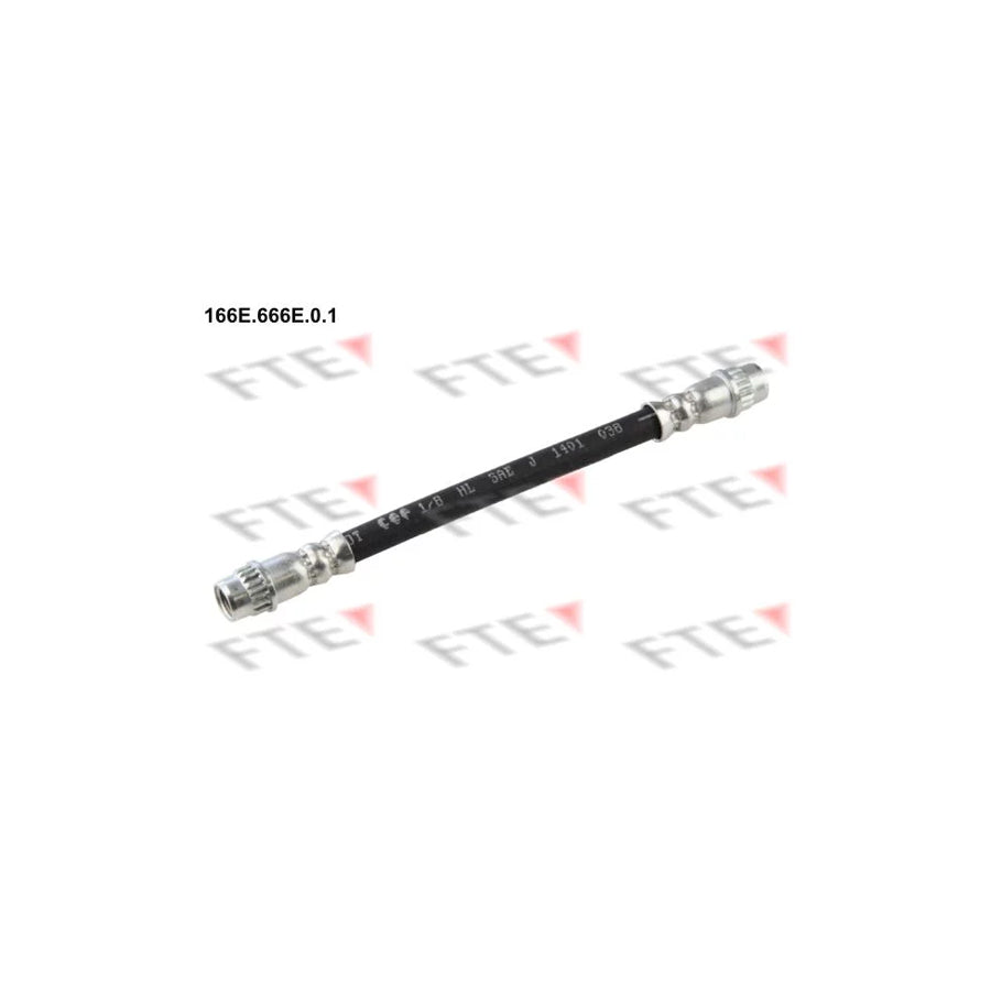 FTE 166E.666E.0.1 Brake Hose