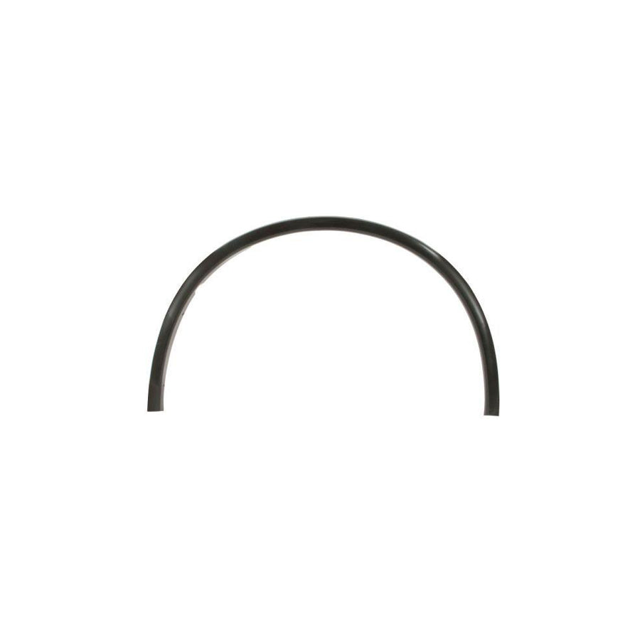 Blic 5703-08-0926371Pp Trim / Protective Strip, Mudguard for Dodge Durango (Wd)