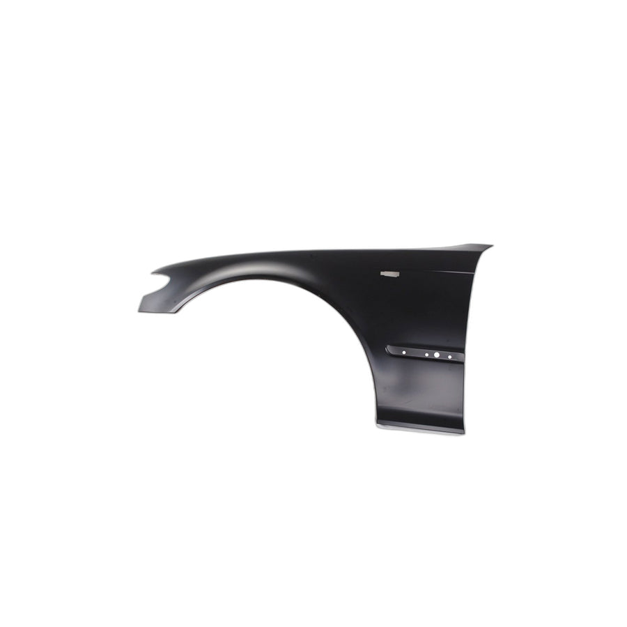 Genuine BMW 41357042323 E46 Side Panel, Front Left (Inc. 330xd, 325i & 316i)