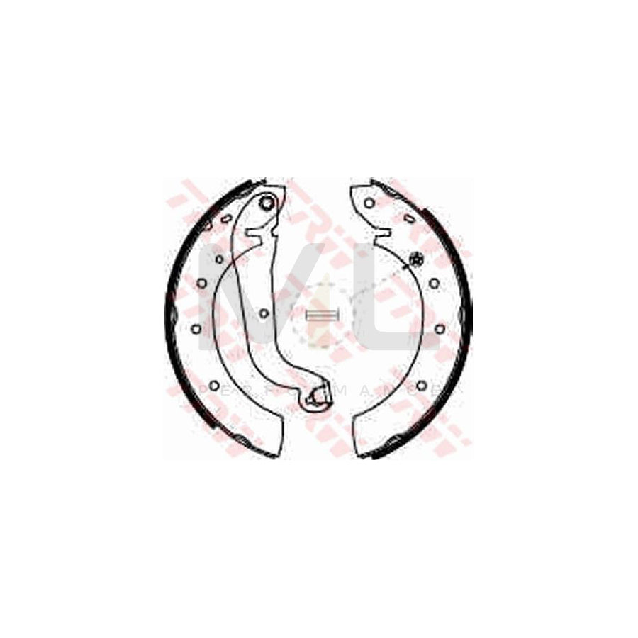 TRW GS8624 Brake Shoe Set with lever
