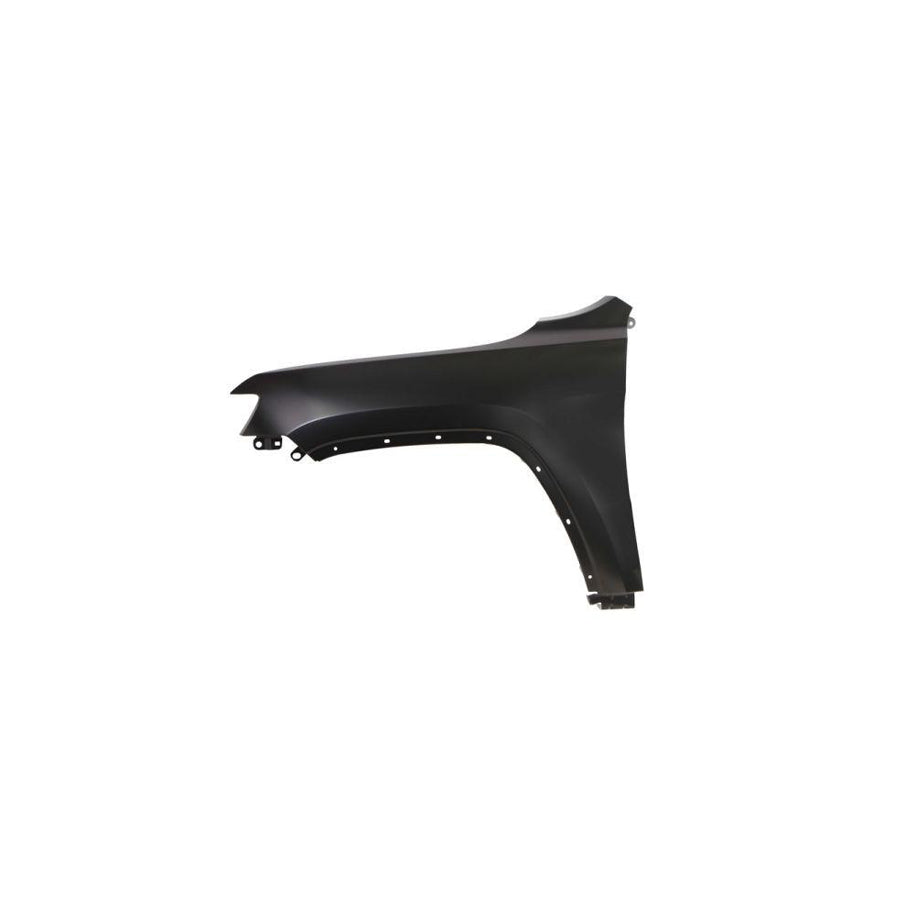 Blic 6504-04-3206311P Wing Fender for Jeep Grand Cherokee IV (Wk, Wk2)