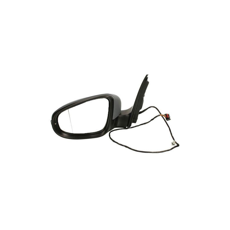 Blic 5402-04-1121589P Wing Mirror for VW Golf