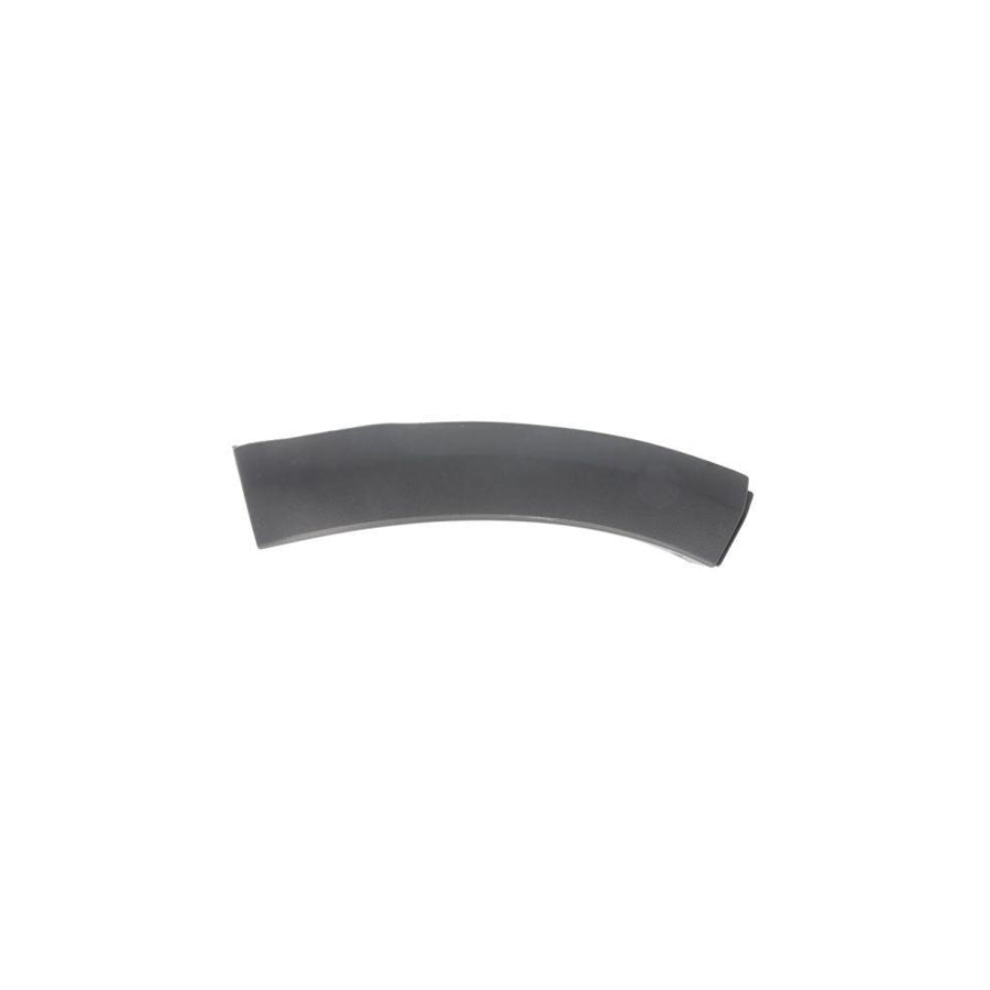 Blic 5703-08-1302375P Trim / Protective Strip, Mudguard for Dacia Sandero I (Sd)