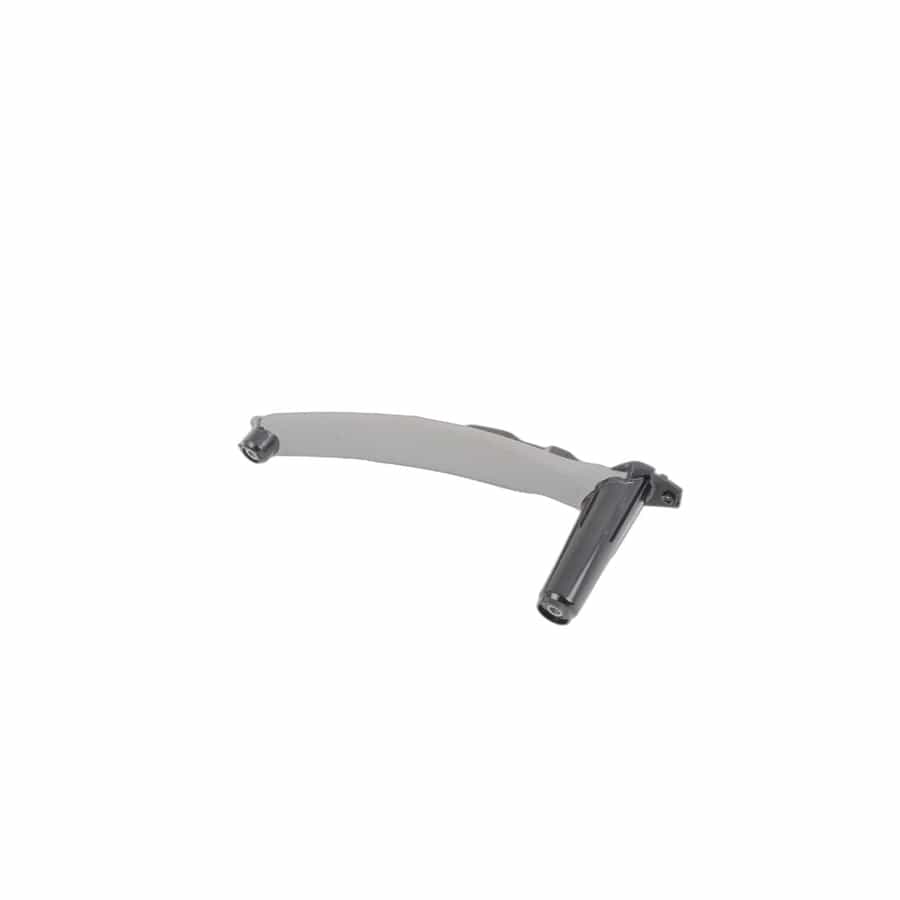 Genuine BMW 51416969405 E70 Support, Pull Strap, Left GRAU (Inc. X5)