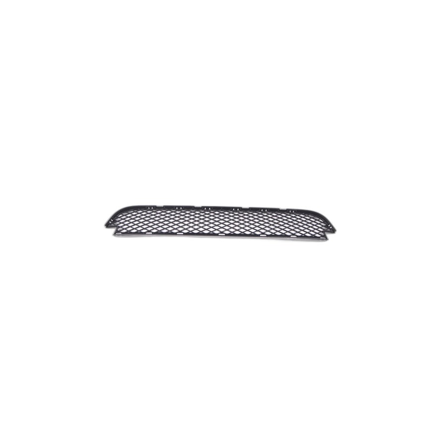 Genuine BMW 51113416203 E83 Grid, Center SCHWARZ (Inc. X3)