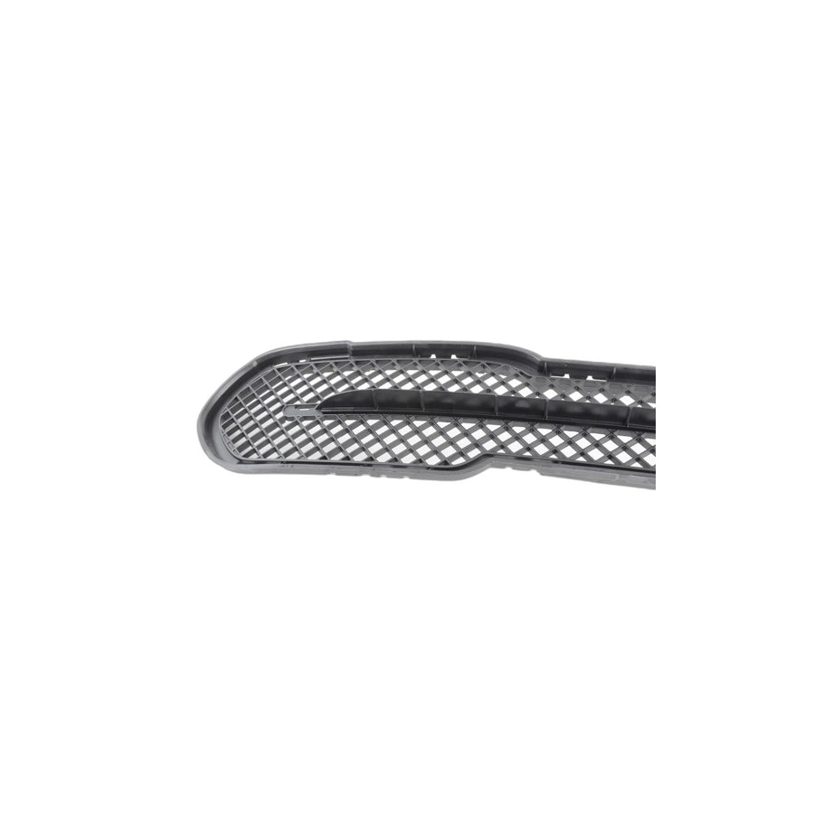 Genuine BMW 51112991506 E84 Grid, Center Open X-LINE (Inc. X1 20d, X1 16i & X1 16d)