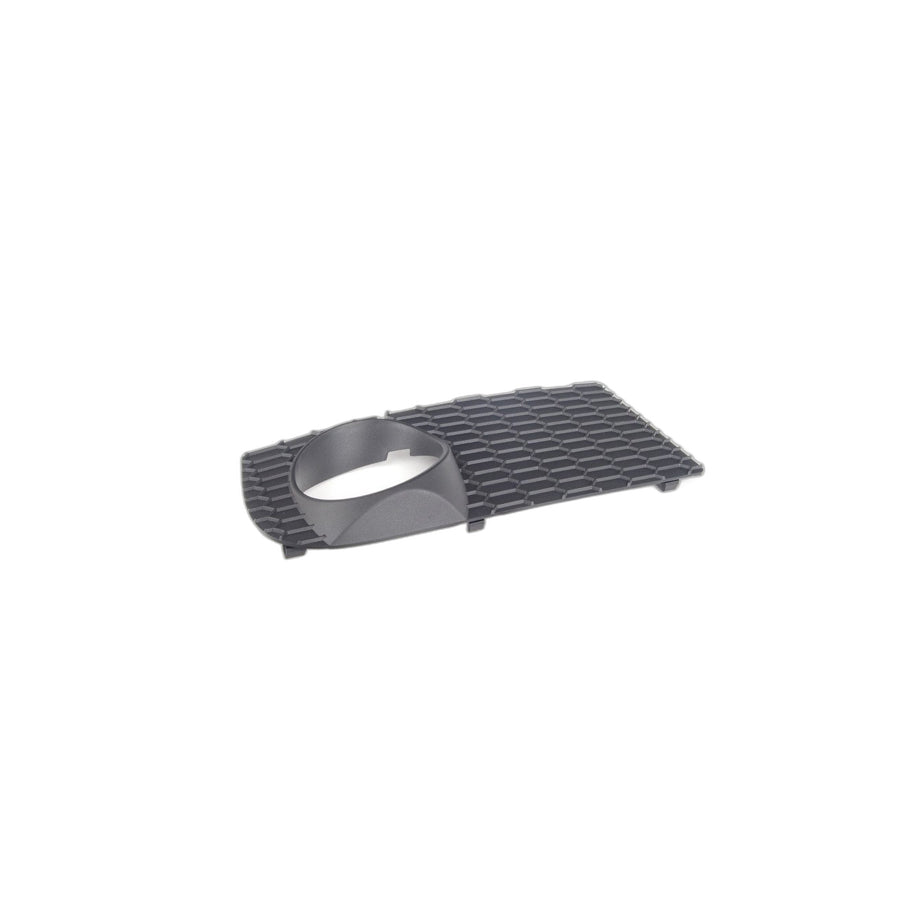 Genuine BMW 51113417726 E83 Closed Grid, Right (Inc. X3)