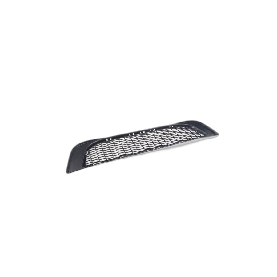 Genuine BMW 51113417722 E83 Grid, Bumper Front (Inc. X3)