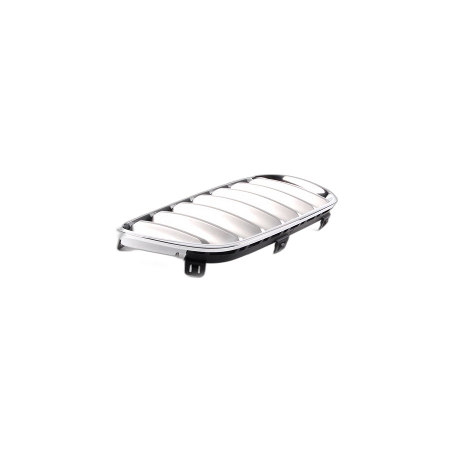 Genuine BMW 51113420090 E83 Grille, Front, Right TITAN (Inc. X3)