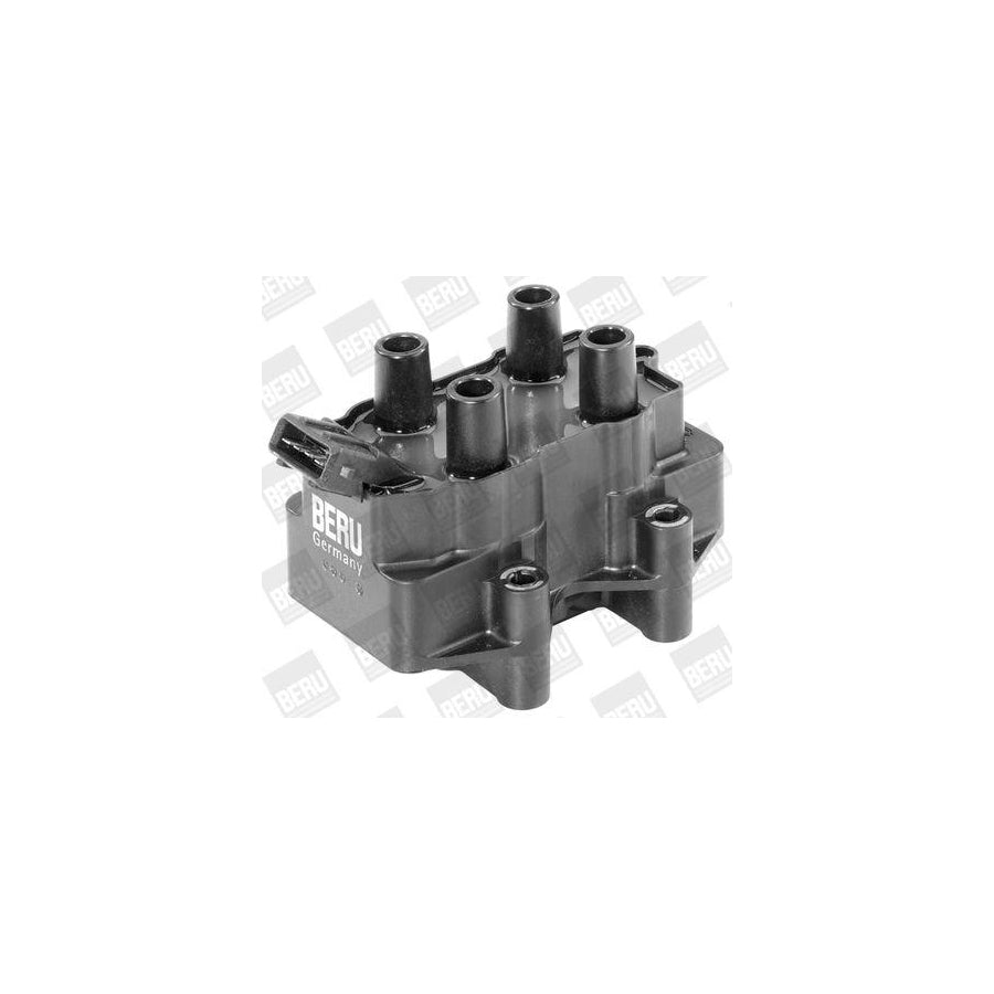 Beru Ger056 Alternator Regulator