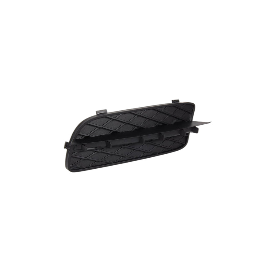 Genuine BMW 51117159593 E70 Closed Grid, Left (Inc. X5)