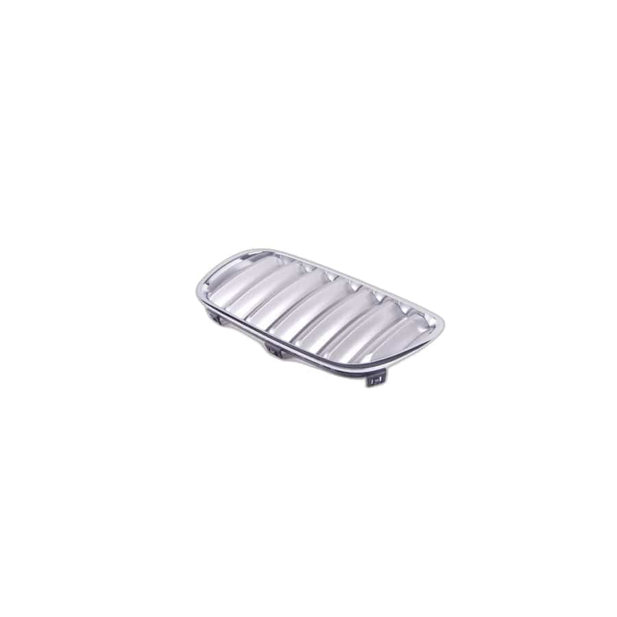 Genuine BMW 51113420089 E83 Grille, Front, Left TITAN (Inc. X3 3.0i, X3 2.0d & X3 3.0si)