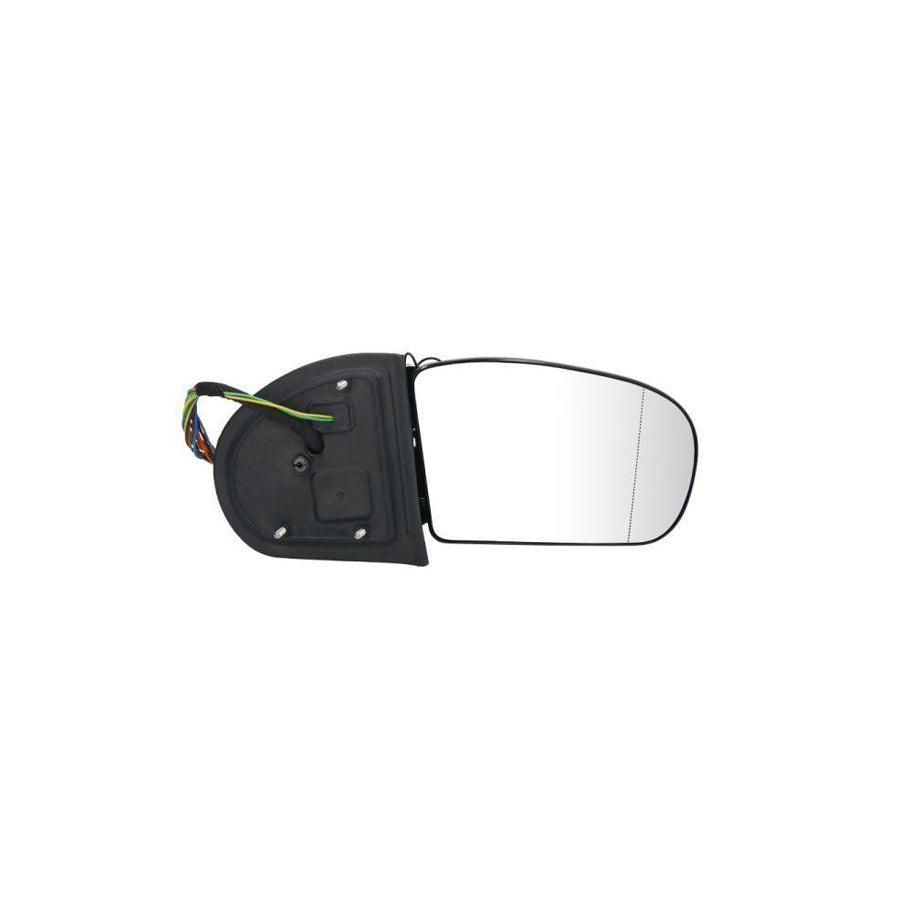 Blic 5402-04-1339791 Wing Mirror Suitable for Mercedes-Benz E-Class