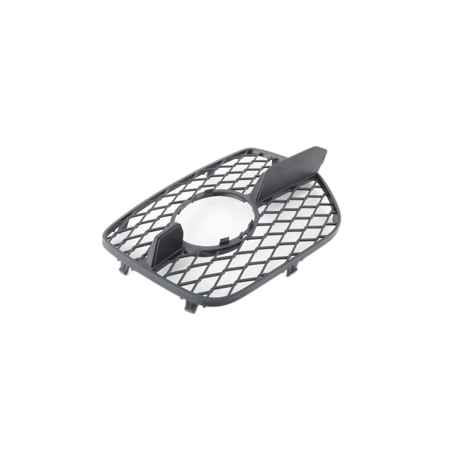 Genuine BMW 51117176278 E71 E72 Open Grid, Right (Inc. X6 50iX & Hybrid X6)