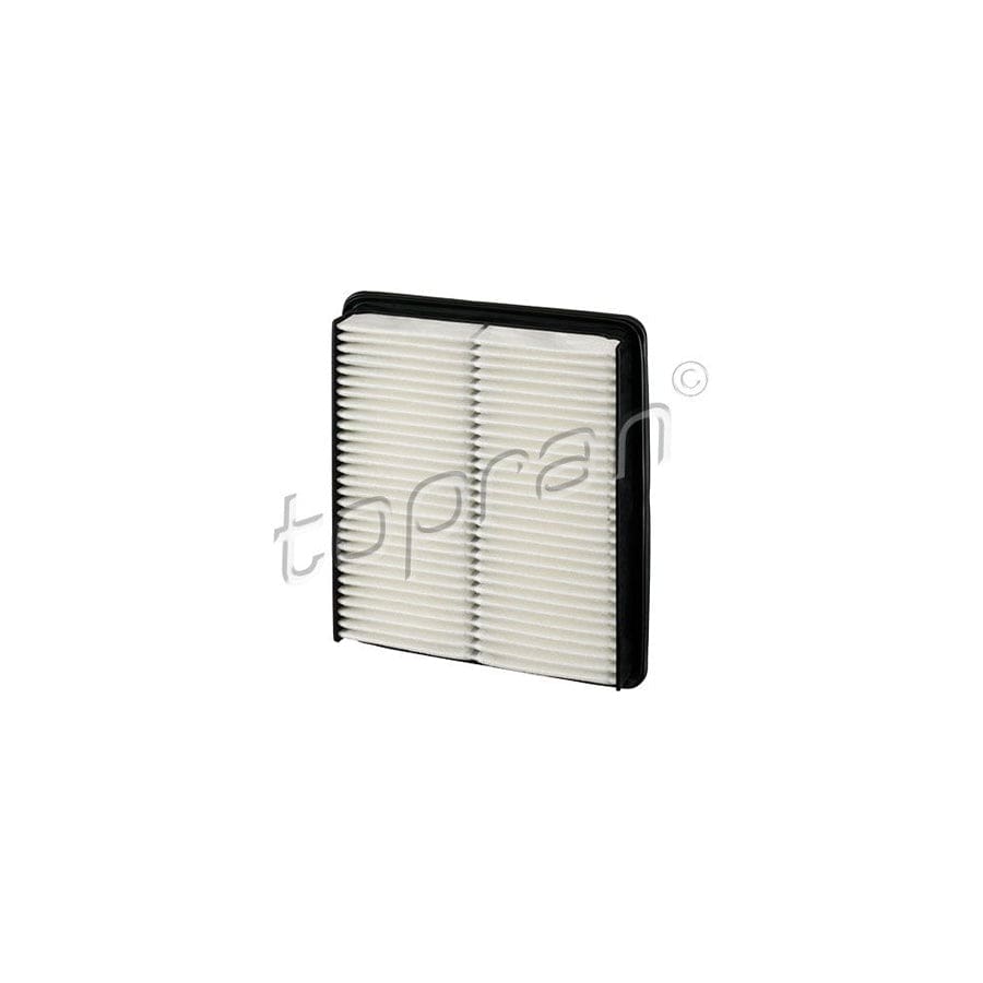 Topran 820 211 Air Filter