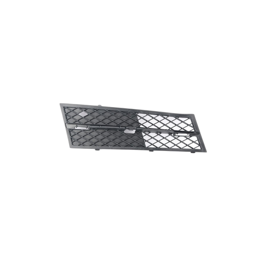 Genuine BMW 51117200700 Grill, Air Intake, Part Closed, Right (Inc. 520d ed, 550i & 528i)