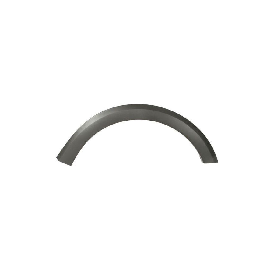 Blic 5703-08-1303378P Trim / Protective Strip, Mudguard