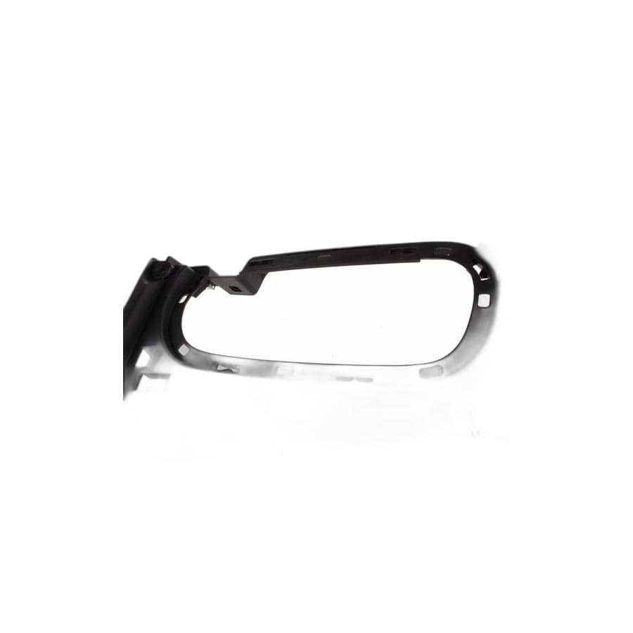 Genuine BMW 51113400898 E83 Insert, Bumper Front Center (Inc. X3)