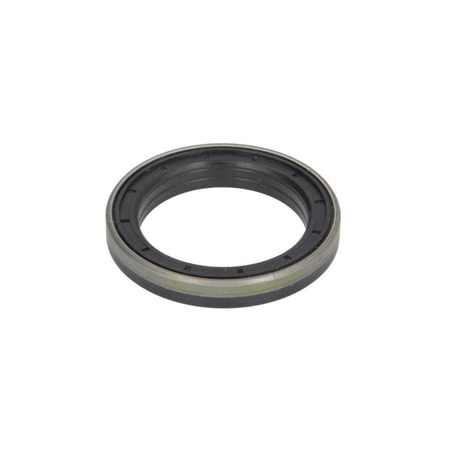 BTA B06-2172 Shaft Seal, Differential