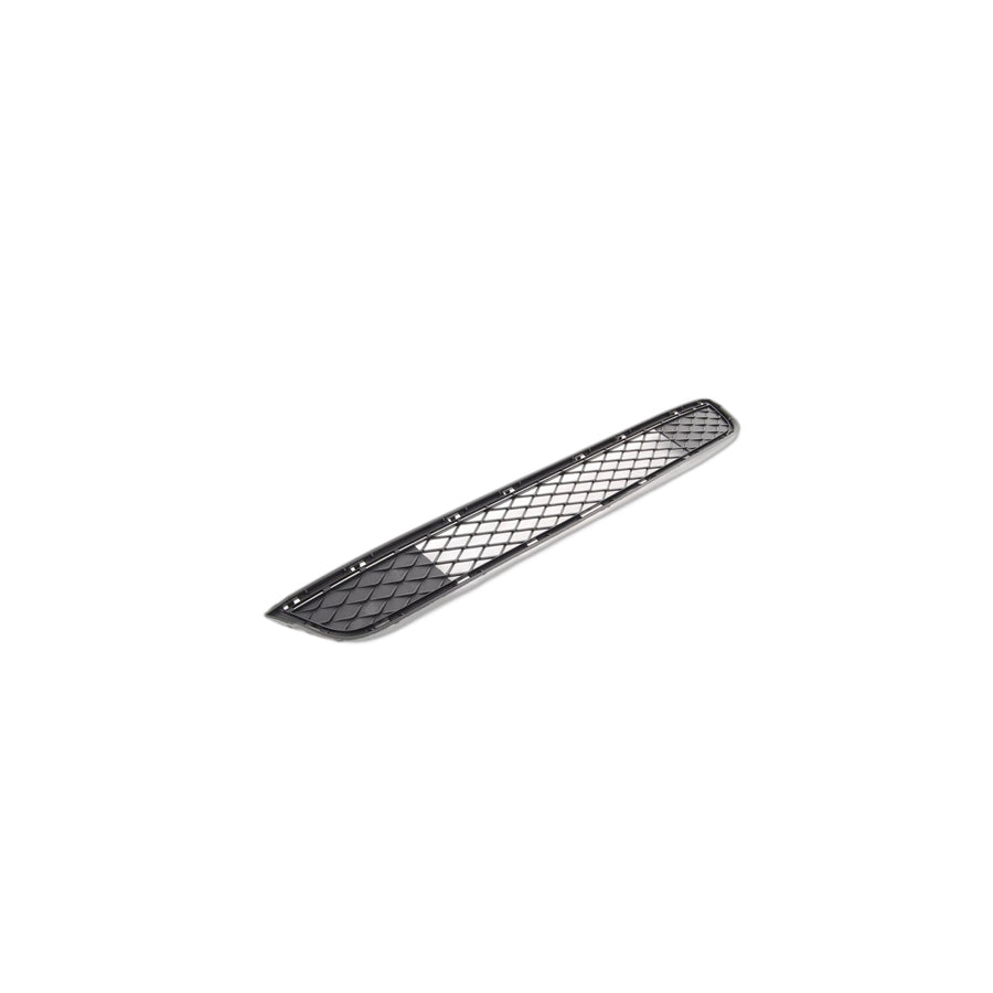 Genuine BMW 51117210465 F25 Grill, Partially Enclosed, Lower (Inc. X3)