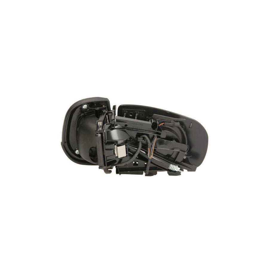 Blic 5402-04-1329792 Wing Mirror Suitable for Mercedes-Benz E-Class