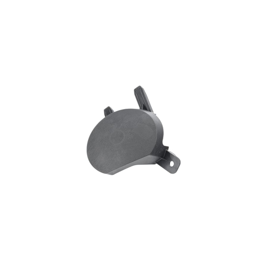 Genuine BMW 51117245872 F30 F34 F20 Cover, Fog Lamp, Right (Inc. 316i)
