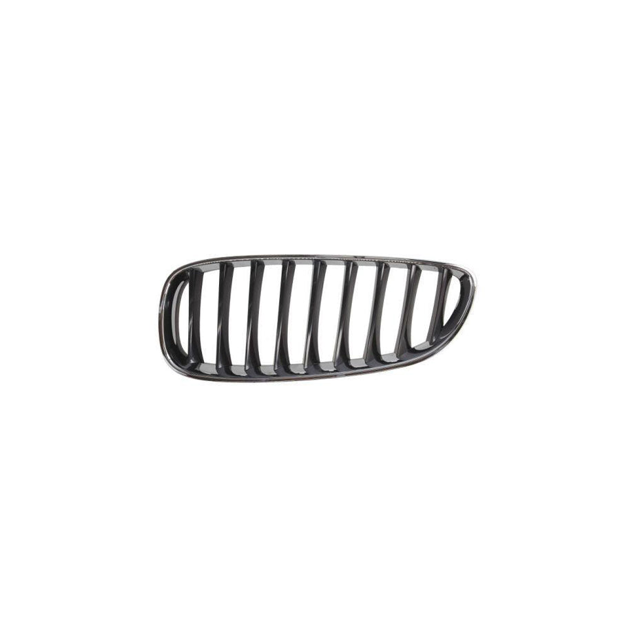 Blic 6502-07-0089995P Radiator Grille for BMW Z4 Roadster (E89)