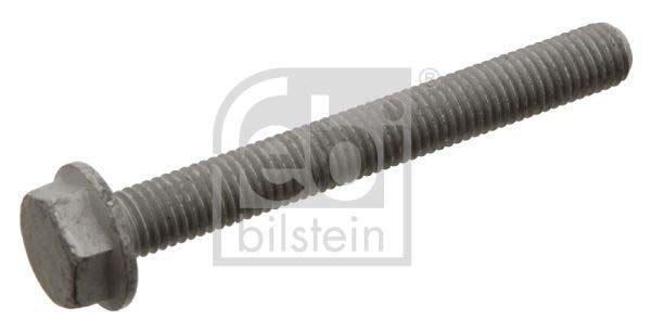 Febi Bilstein 29278 Screw | ML Performance UK Car Parts