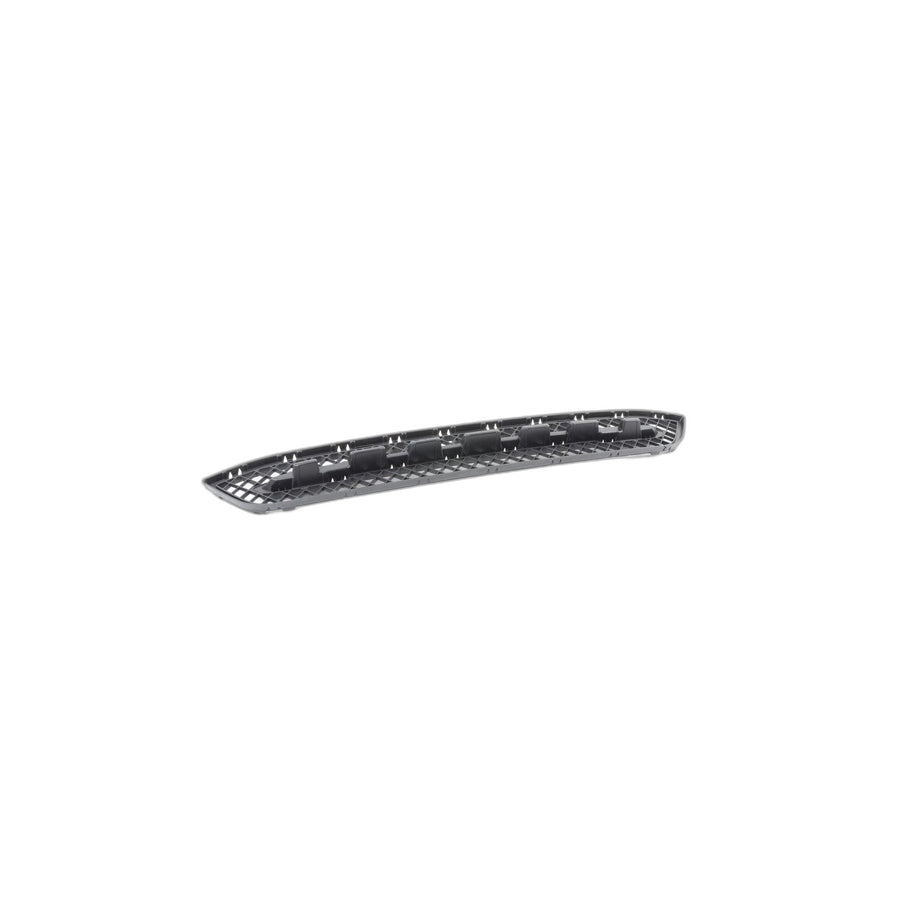 Genuine BMW 51117303753 E84 Grid, Center SPORTLINE/XLINE (Inc. X1 20iX, X1 18d & X1 25iX)