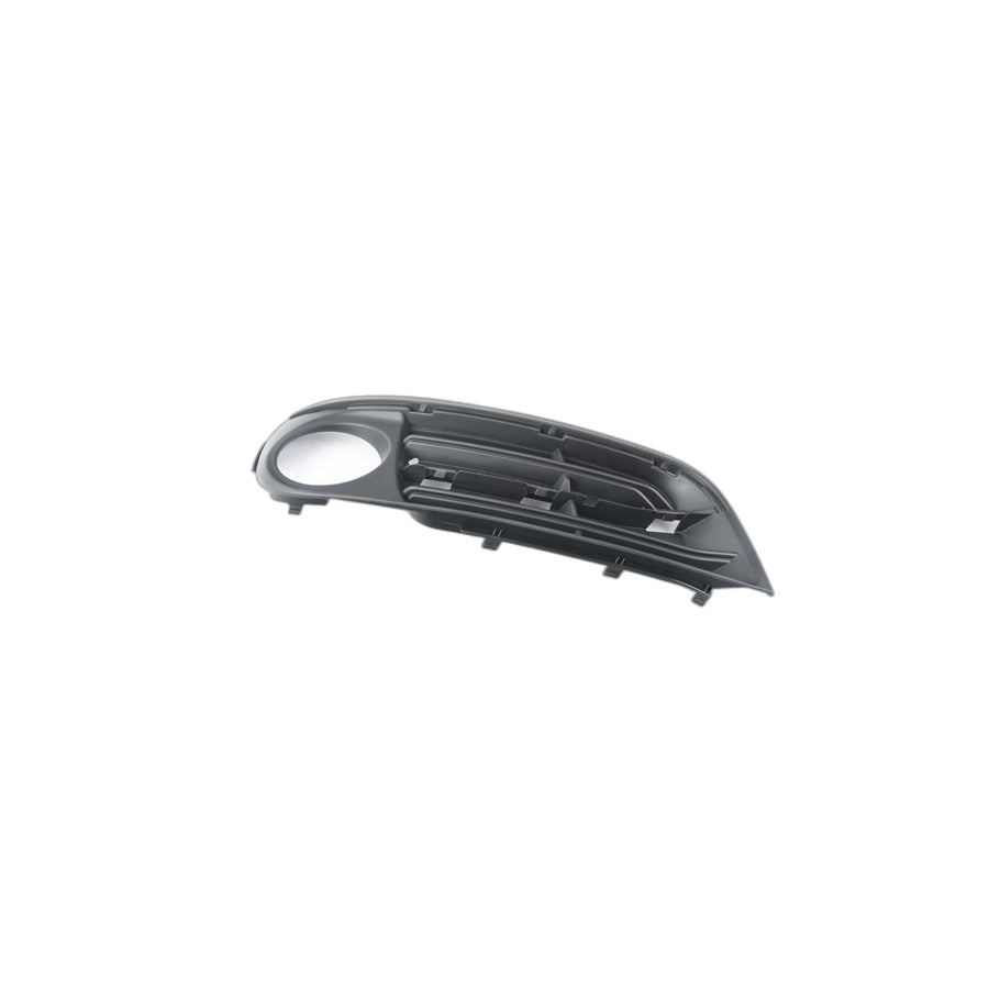 Genuine BMW 51117346506 Grill, Air Intake, Closed, Right LINES (Inc. Hybrid 5, 528iX & 530dX)