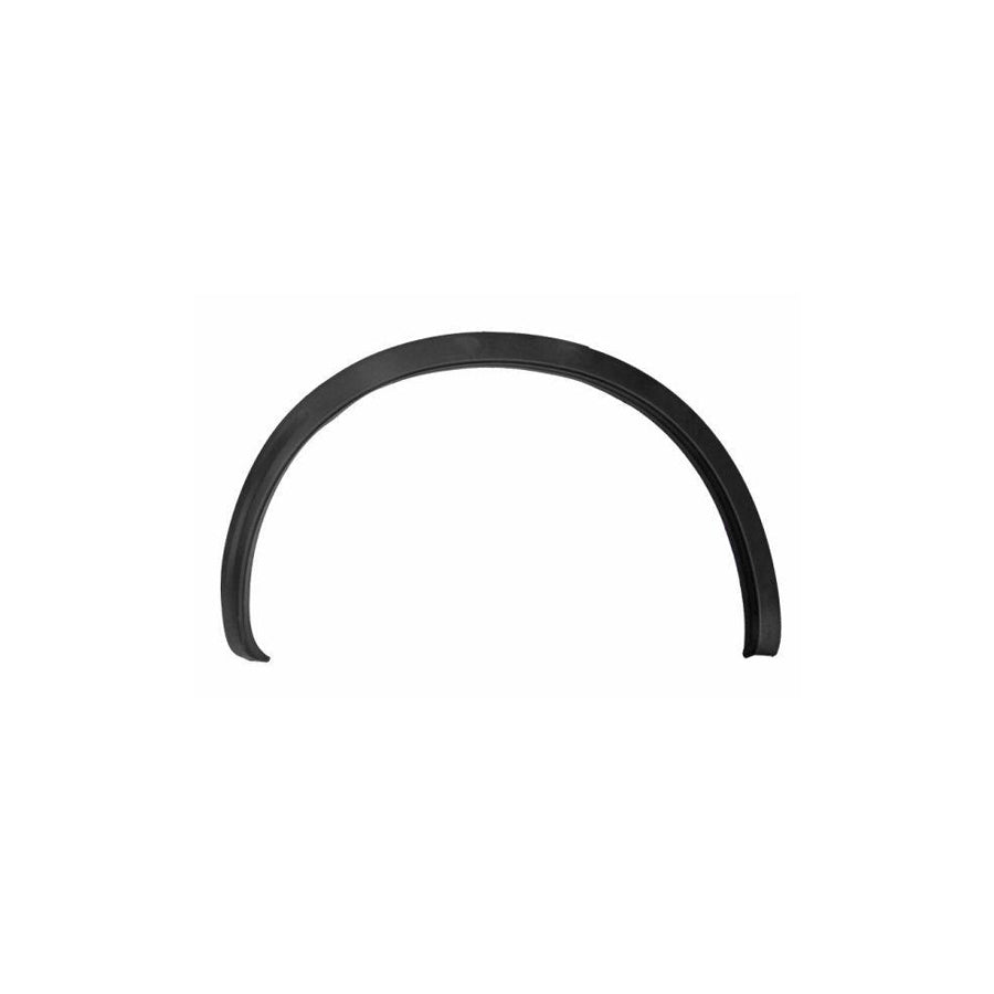 Blic 5703-08-1617596P Trim / Protective Strip, Mudguard for Nissan Qashqai / Qashqai 2 I (J10, Nj10)