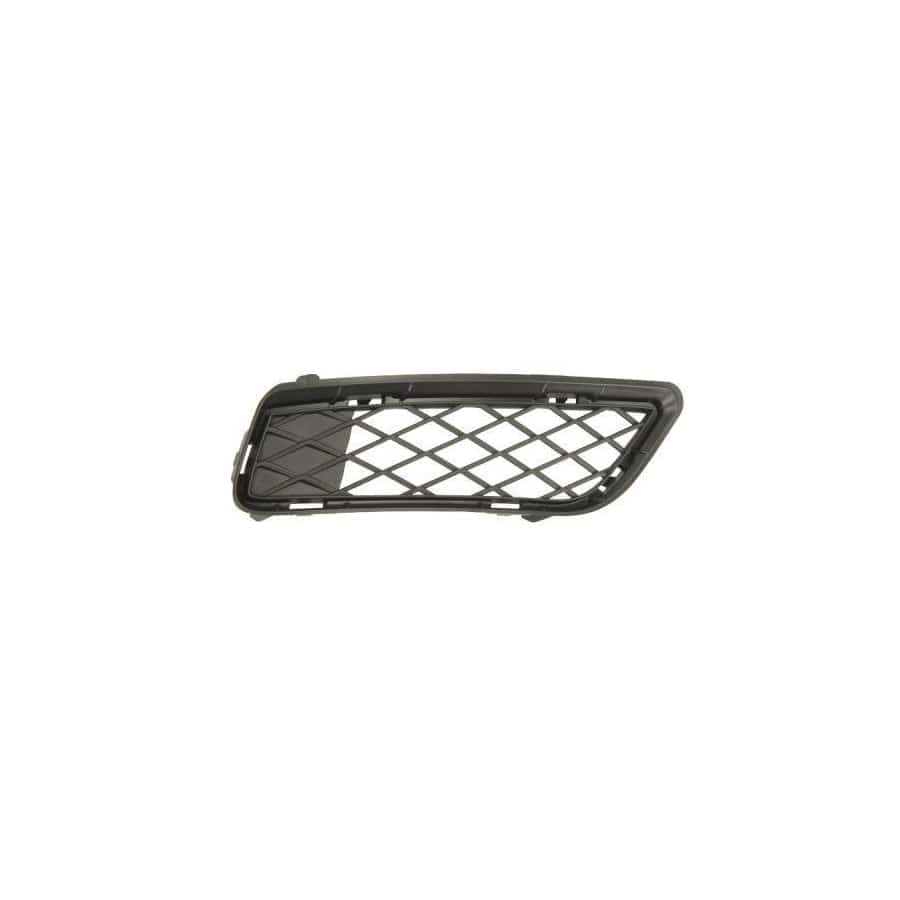 Blic 6502-07-0093916P Bumper Grill for BMW X3 (F25)