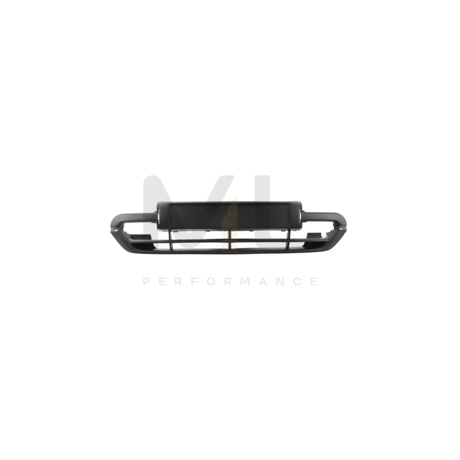 BLIC 6509-01-0535920P Number plate holder for CITROËN XSARA Front, Black, frameless