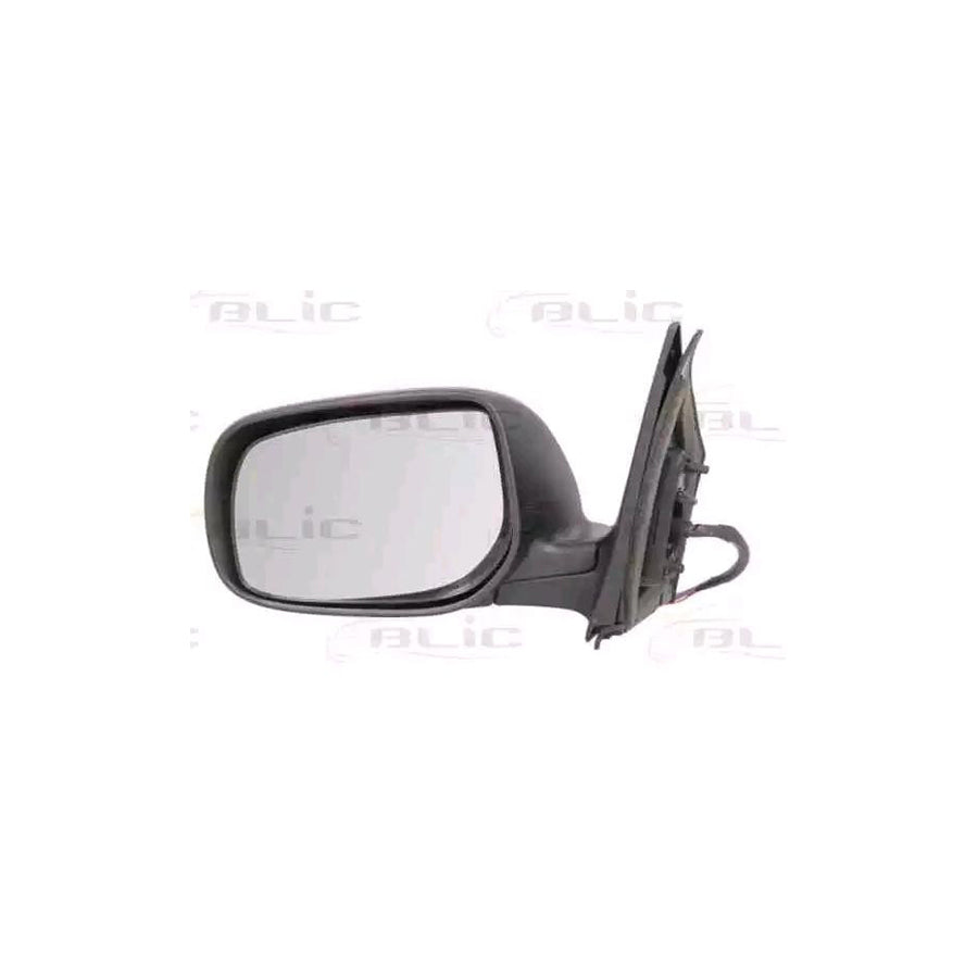Blic 5402-19-2002463P Wing Mirror for Toyota Corolla X Saloon (E150)