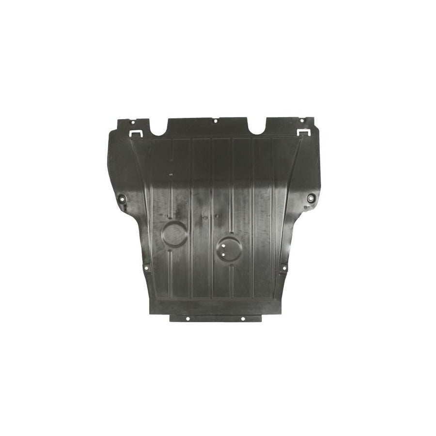 Blic 6601-05-0000007P Engine Cover