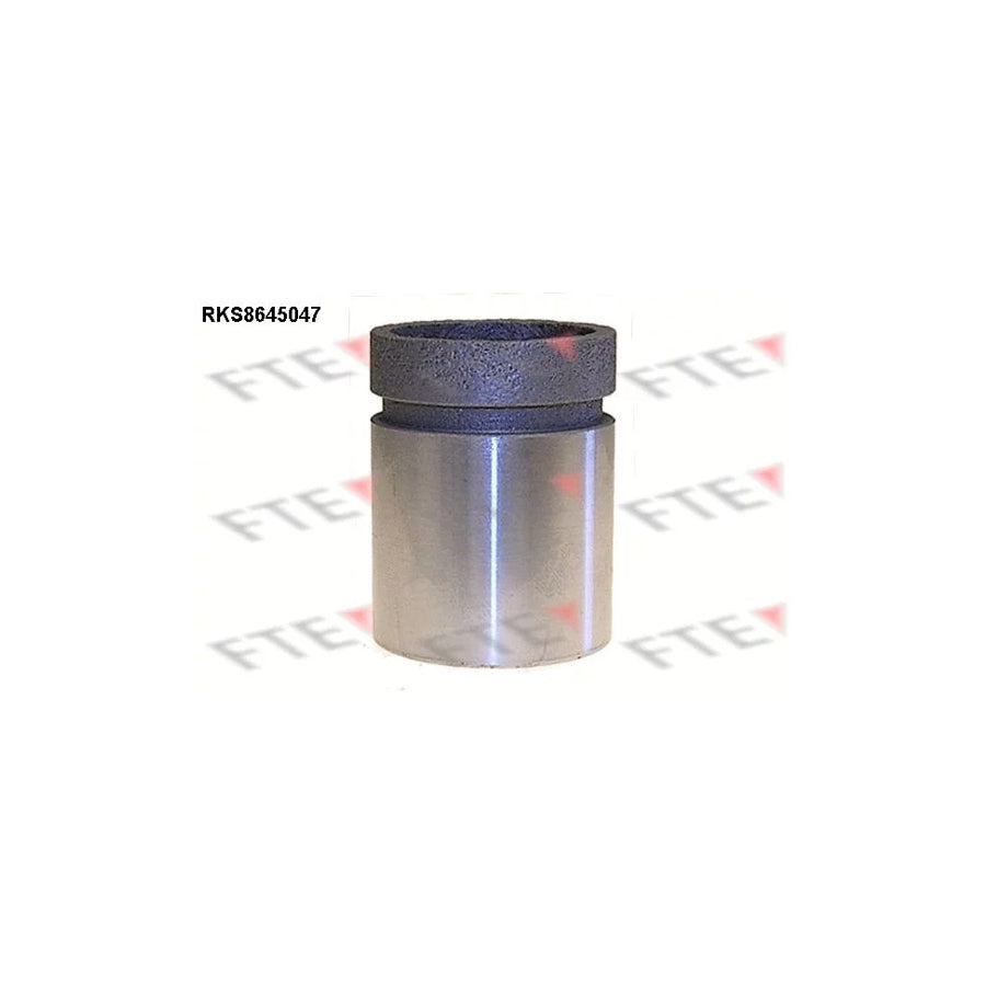 FTE Rks8645047 Piston, Brake Caliper