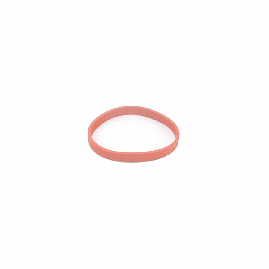 Genuine BMW 11612245439 E53 E60 Rubber Seal (Inc. 318tds, 335d & 330Cd)