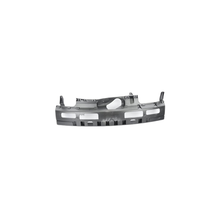 Genuine BMW 51123400942 E83 Insert, Bumper Rear Center (Inc. X3)