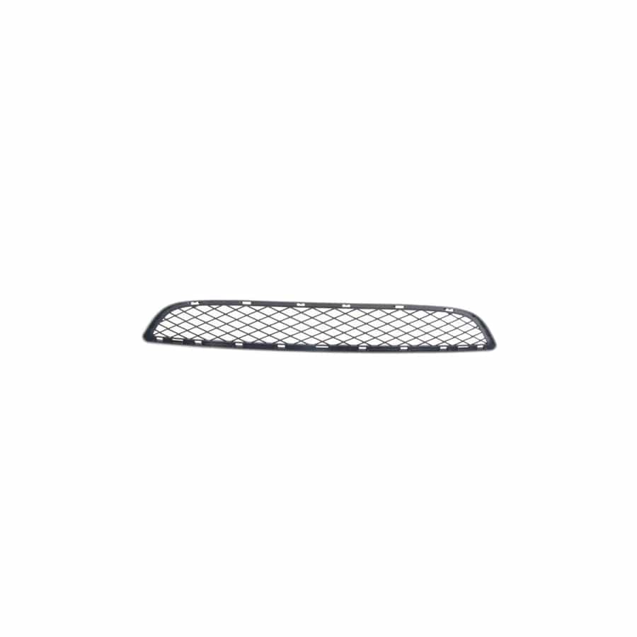 Genuine BMW 51117176282 E71 E72 Grill, Center Lower SCHWARZ (Inc. Hybrid X6, X6 M50dX & X6 35dX)