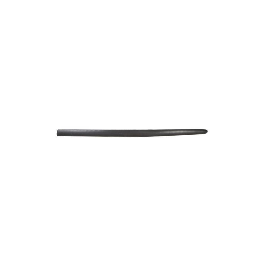 Blic 5703-04-5507571Pp Trim / Protective Strip, Mudguard for Peugeot 206