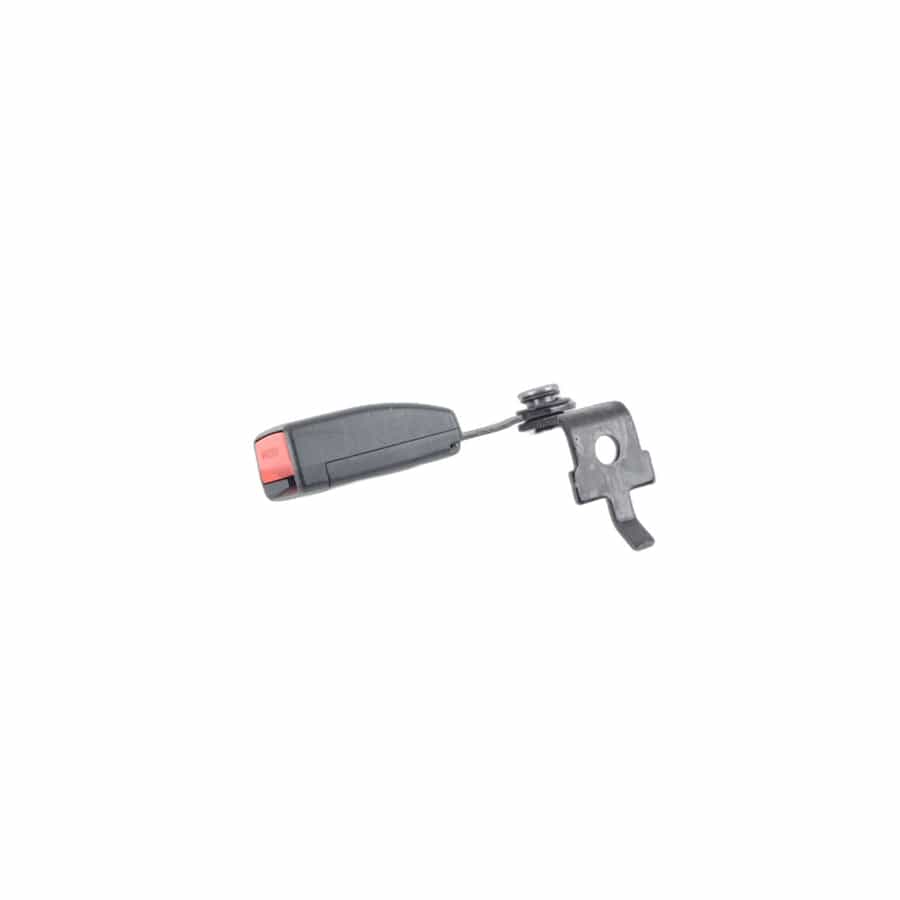 Genuine BMW 72117395073 F15 Lower Belt Rear Left (Inc. X5)