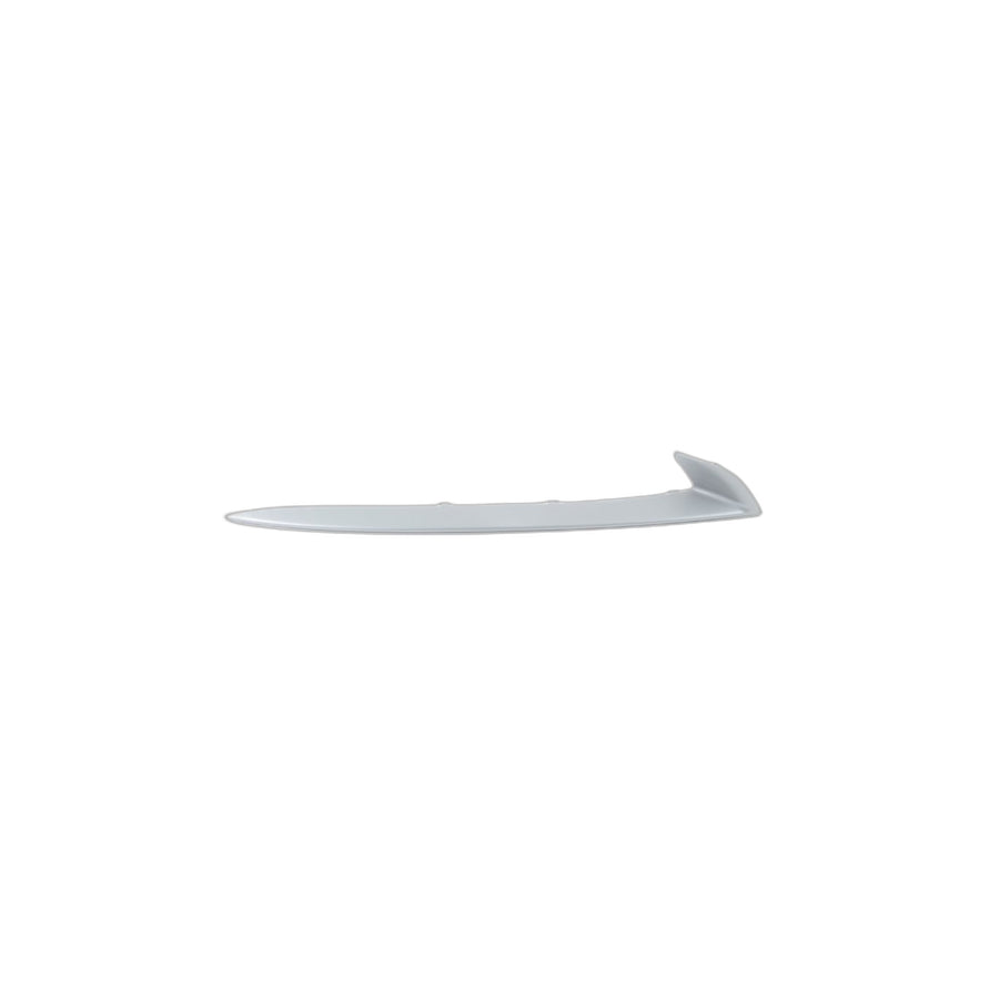 Genuine BMW 51117331764 F10 F11 Protective Rubber Strip,Rght Frnt Bumper (Inc. 535dX)