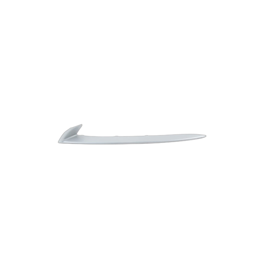 Genuine BMW 51117331763 F10 F11 Protective Rubber Strip, Lft Frnt Bumper (Inc. 520dX)