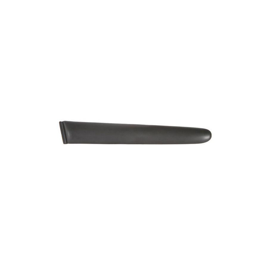Blic 5703-04-5507473P Trim / Protective Strip, Mudguard for Peugeot 206