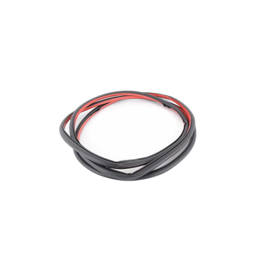 Genuine BMW 51767220382 E70 Door Weatherstrip Rear (Inc. X5 40dX, X5 35iX & X5 40iX)