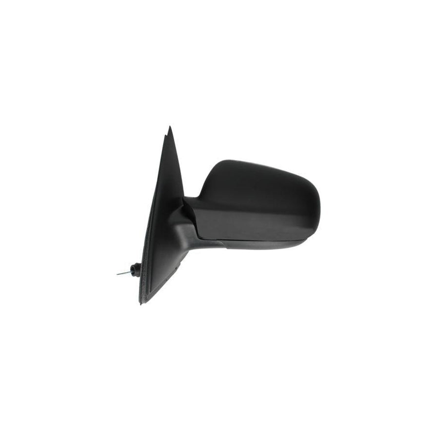 Blic 5402-04-1121825 Wing Mirror for BMW 5 Series
