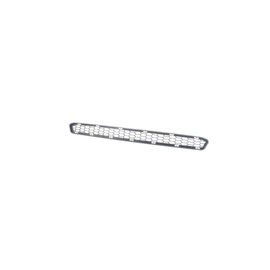 Genuine BMW 51128040081 E85 E86 Grid (Inc. Z4 M3.2)