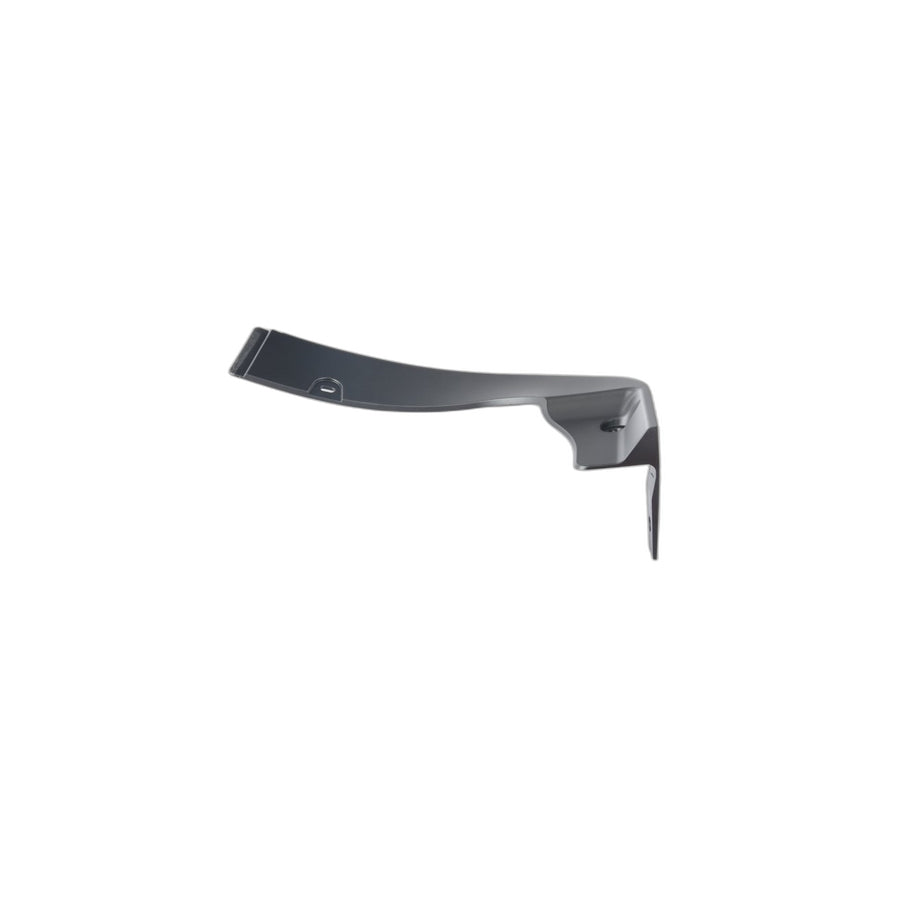 Genuine BMW 51128037283 E70 Extension, Wheelhousing, Primed, Left (Inc. X5)