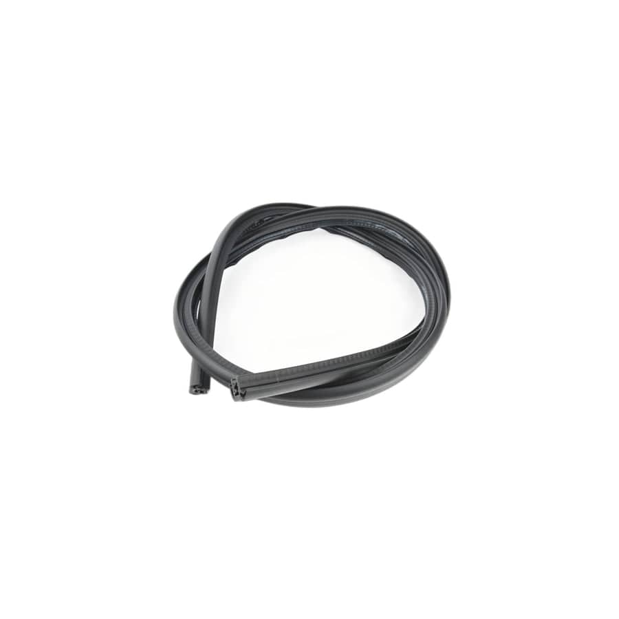 Genuine BMW 51767046102 E89 Door Weatherstrip Right (Inc. Z4)